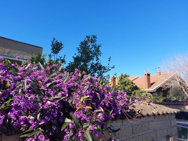 Villa - Via Di Bravetta